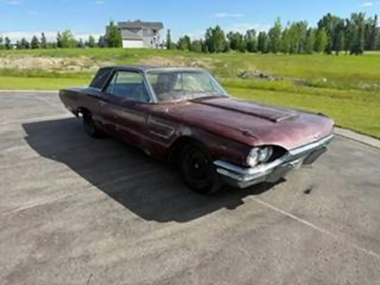 Ford Thunderbird fotografie Ford Thunderbird