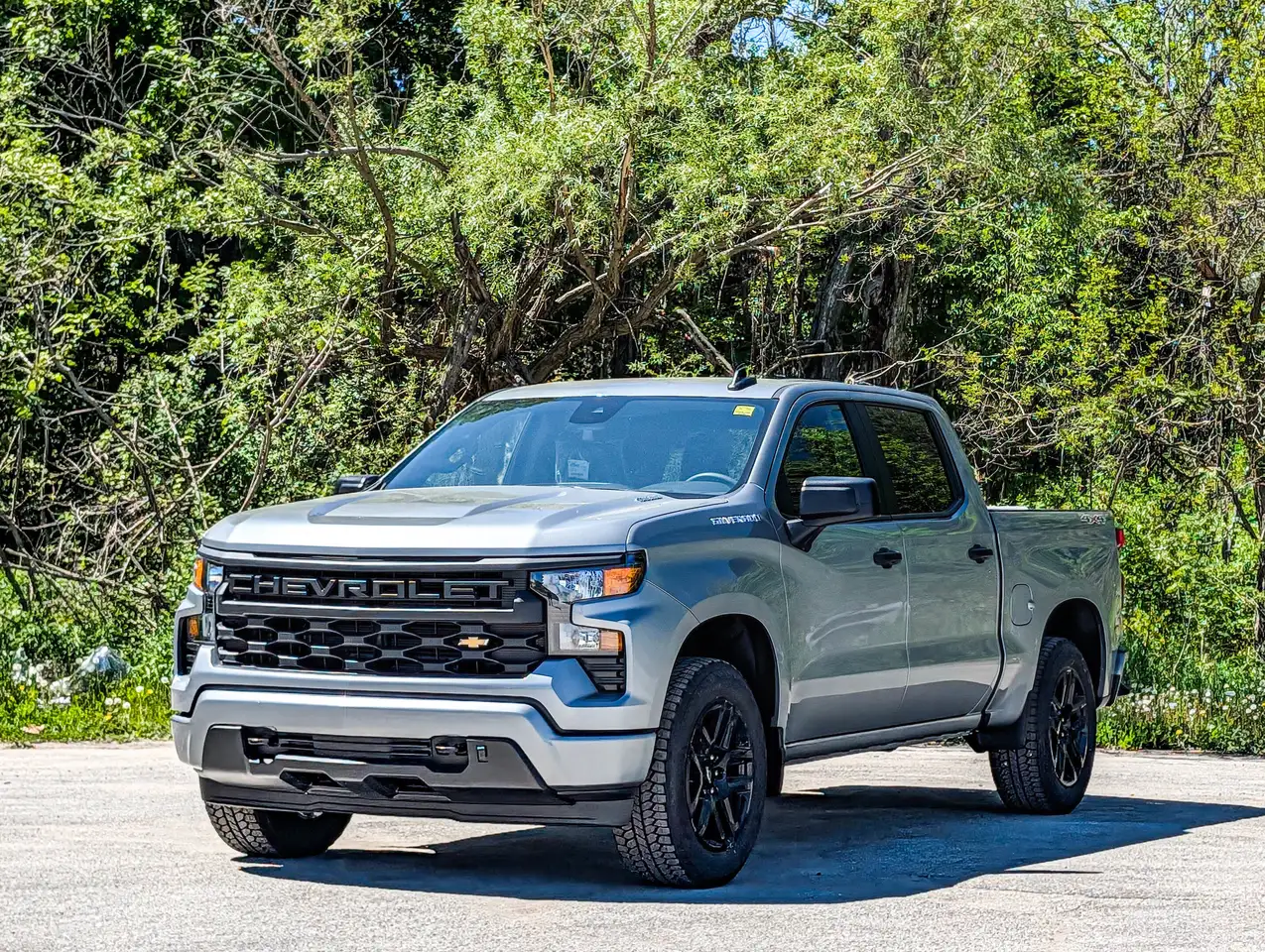 Chevrolet Silverado 1500 снимка Chevrolet Silverado 1500