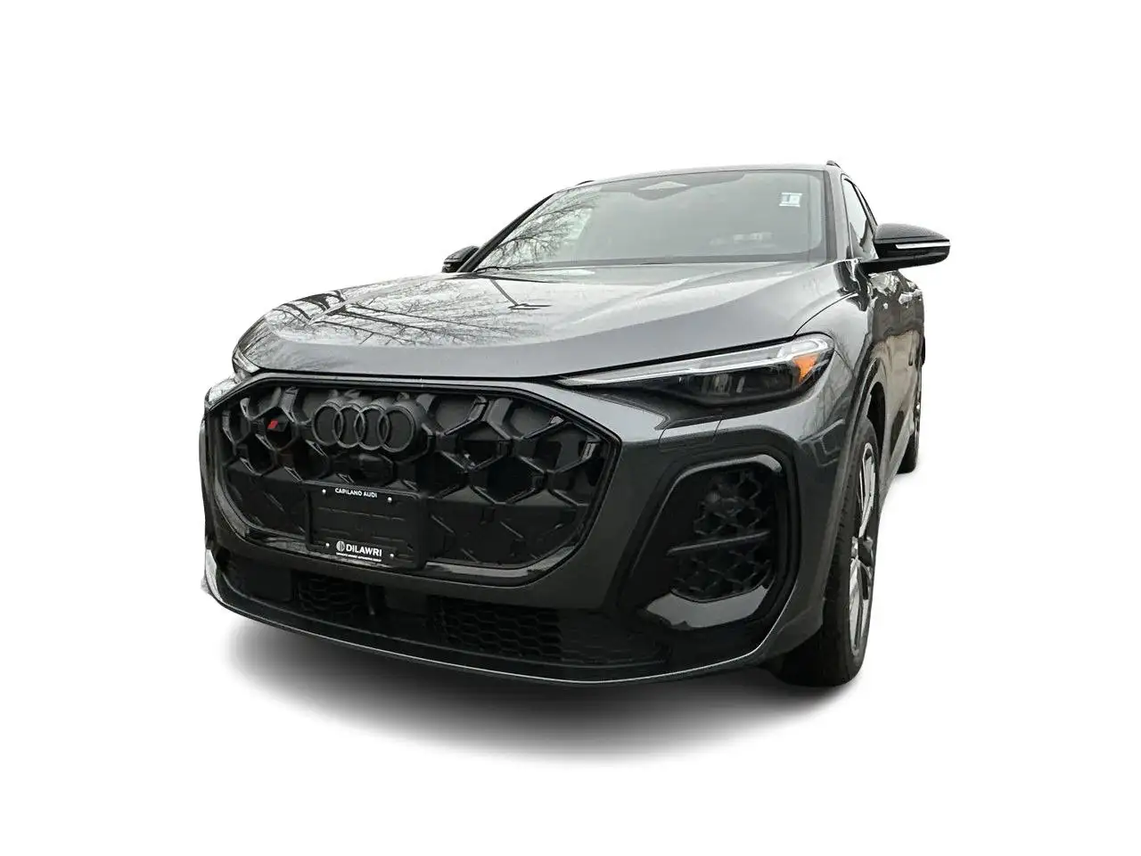 Audi SQ5 снимка Audi SQ5