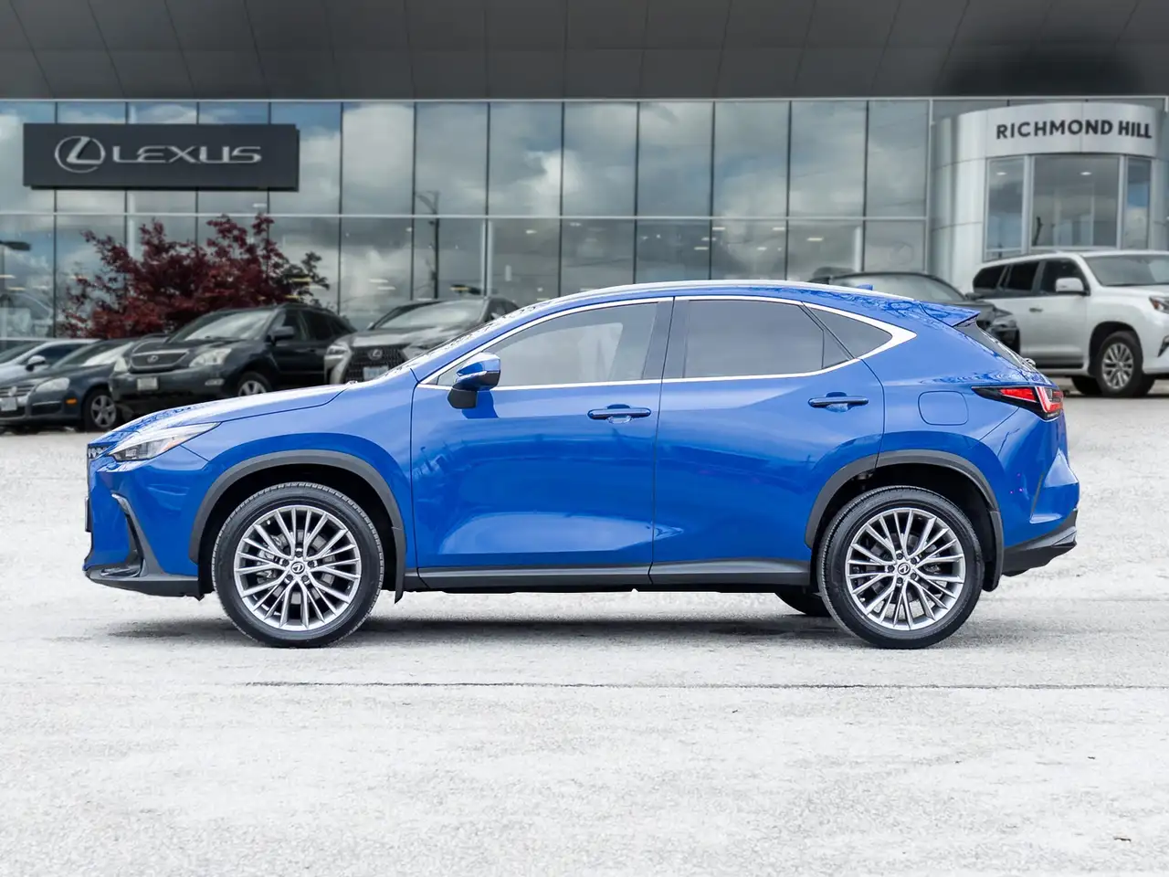 Lexus NX fotografie Lexus NX