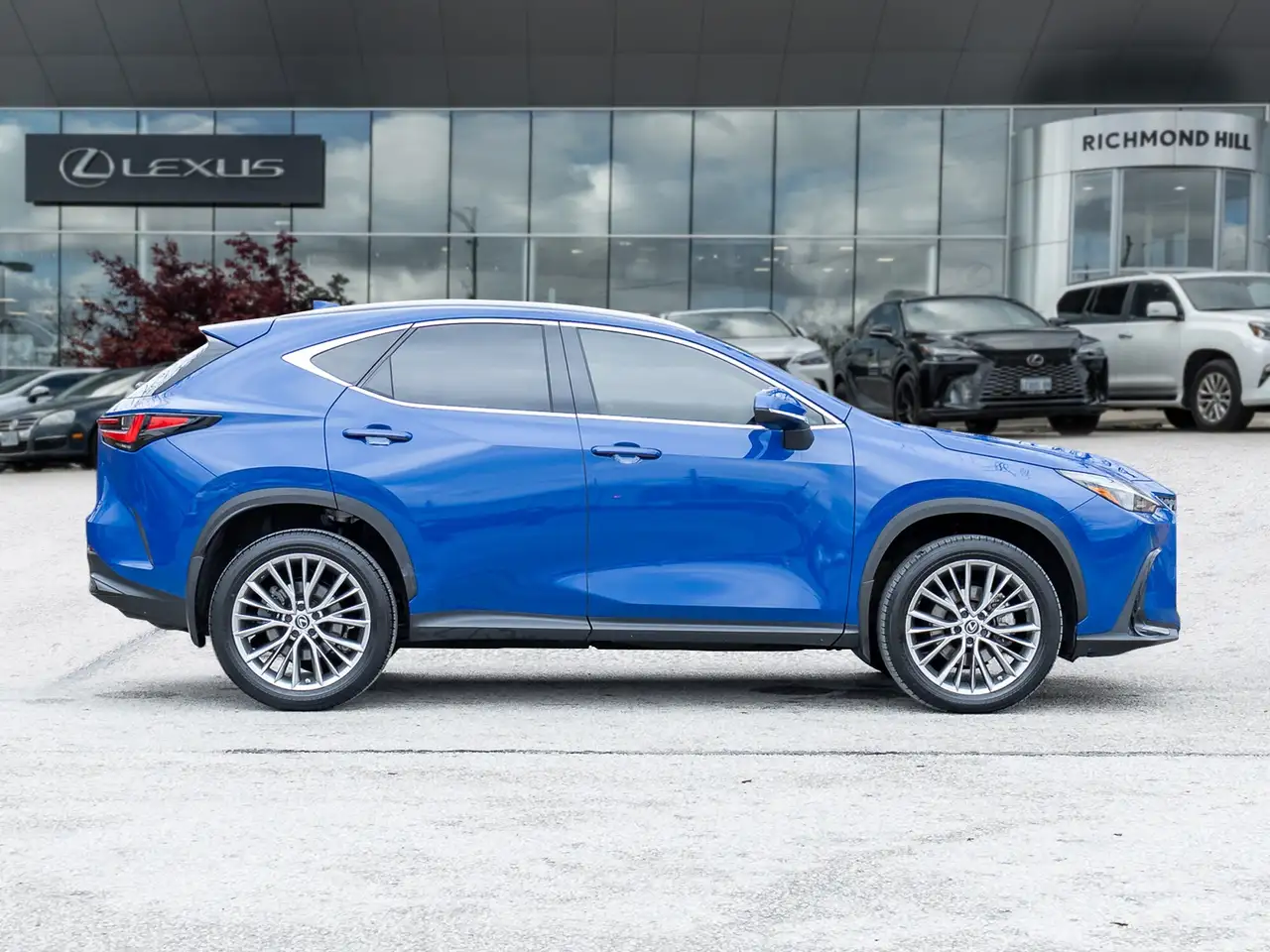Lexus NX fotografie Lexus NX