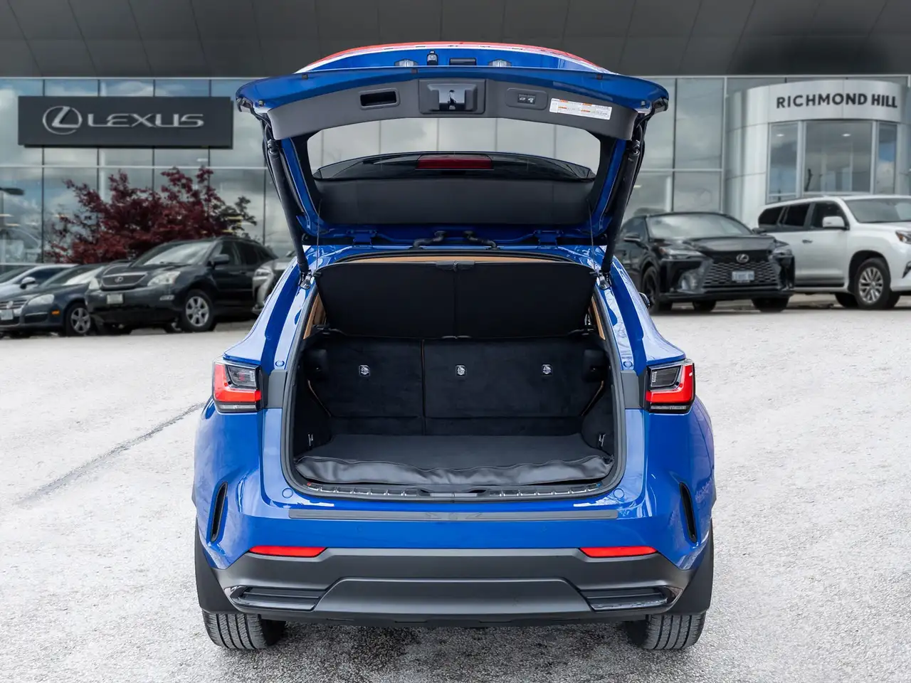 Lexus NX fotografie Lexus NX