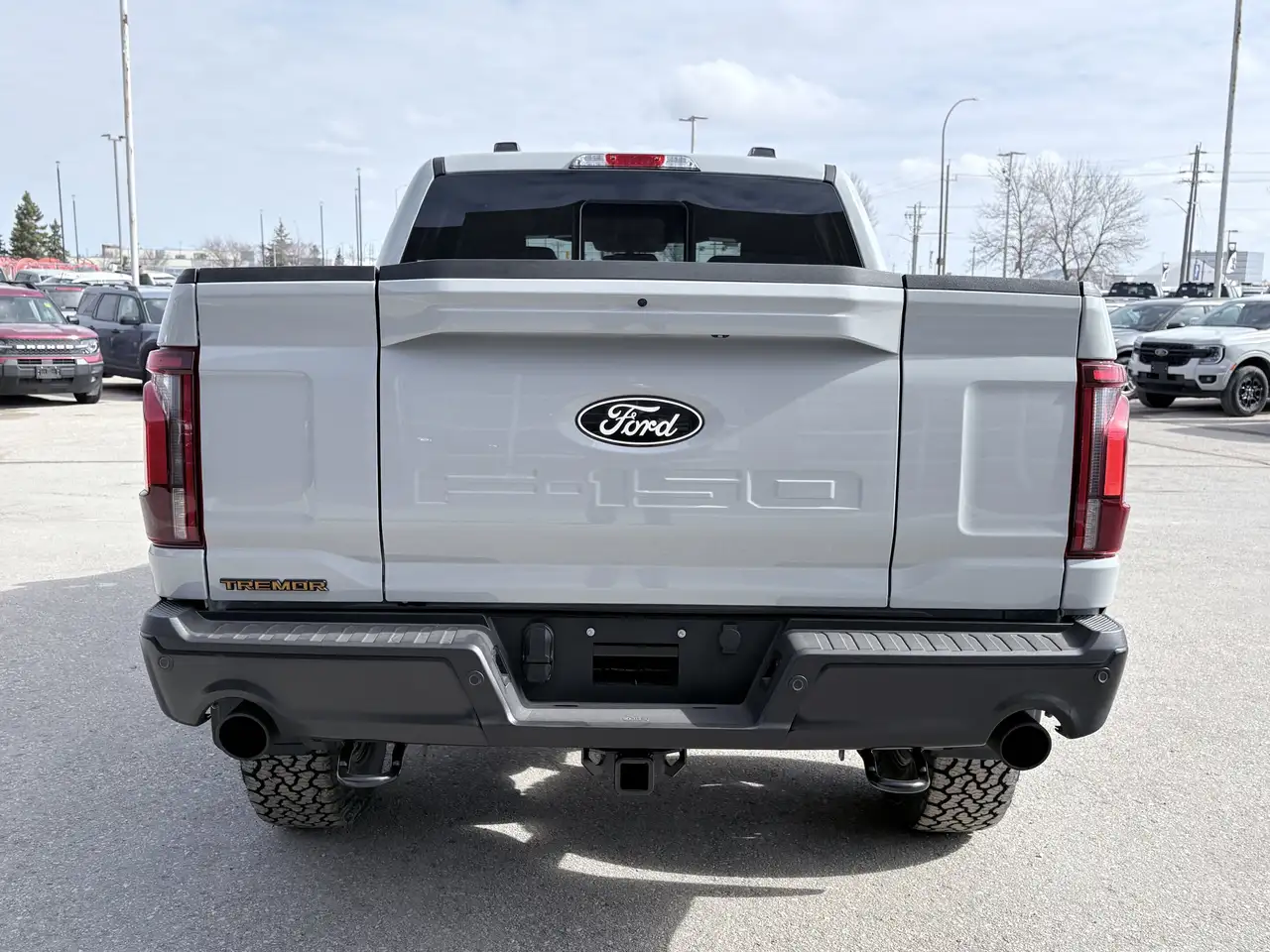 Ford F 150 снимка Ford F 150