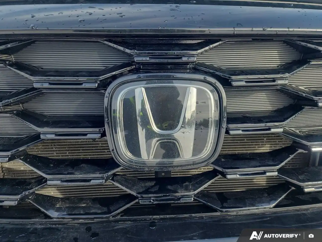 Honda Passport снимка Honda Passport
