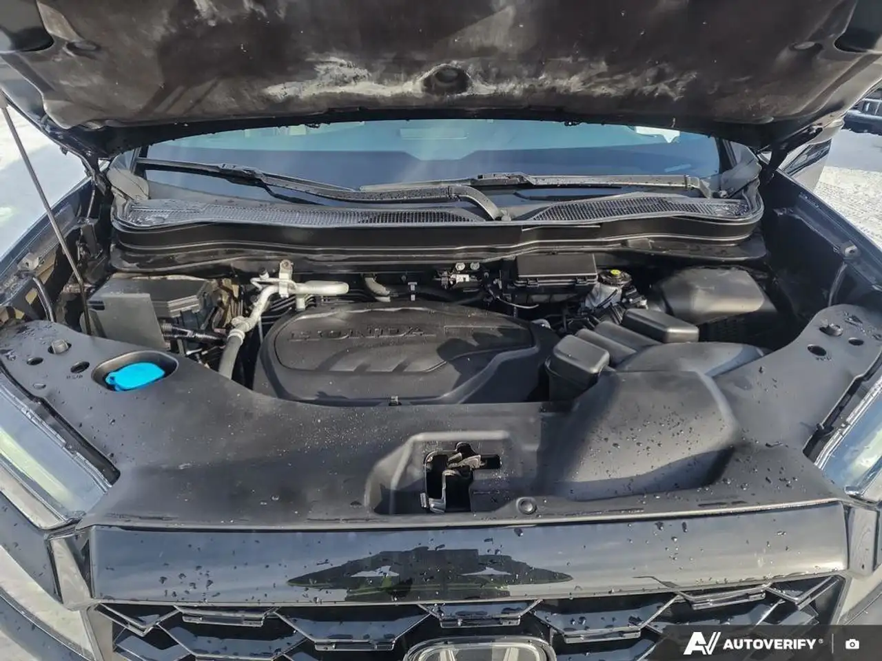 Honda Passport снимка Honda Passport