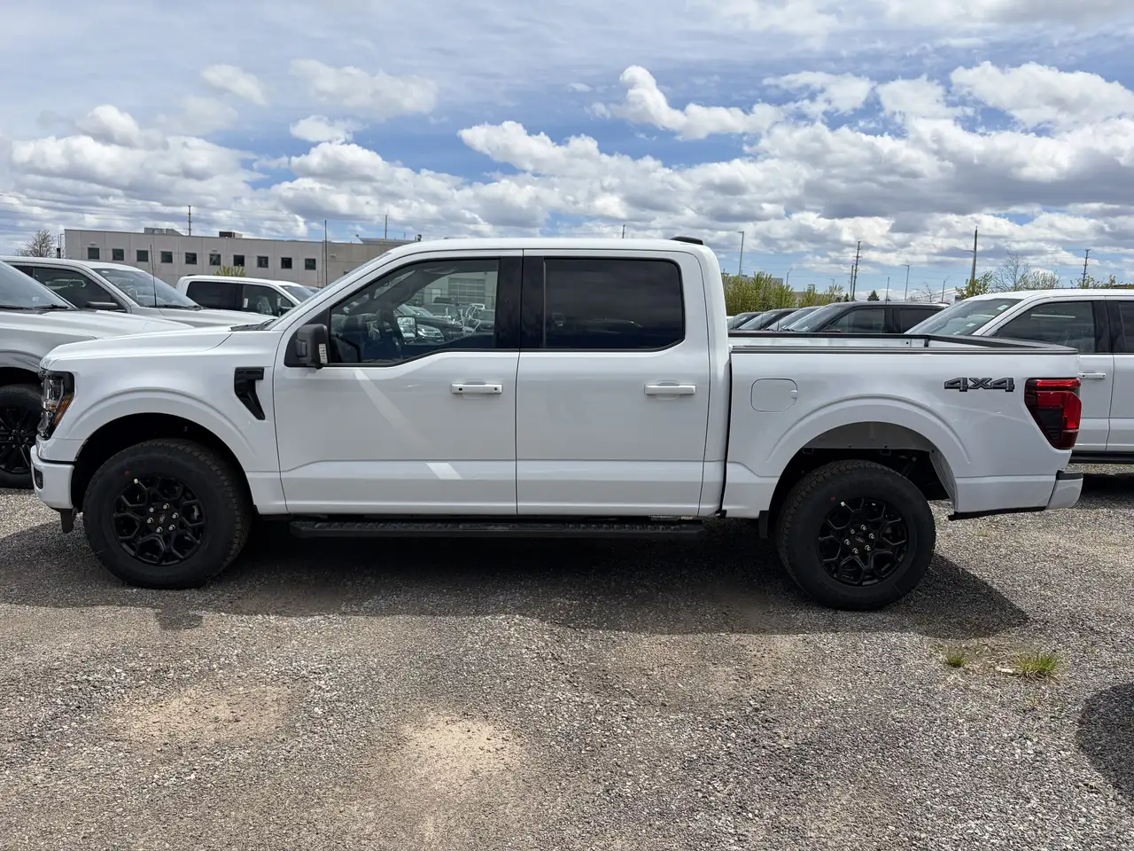 Ford F 150 fotografie Ford F 150