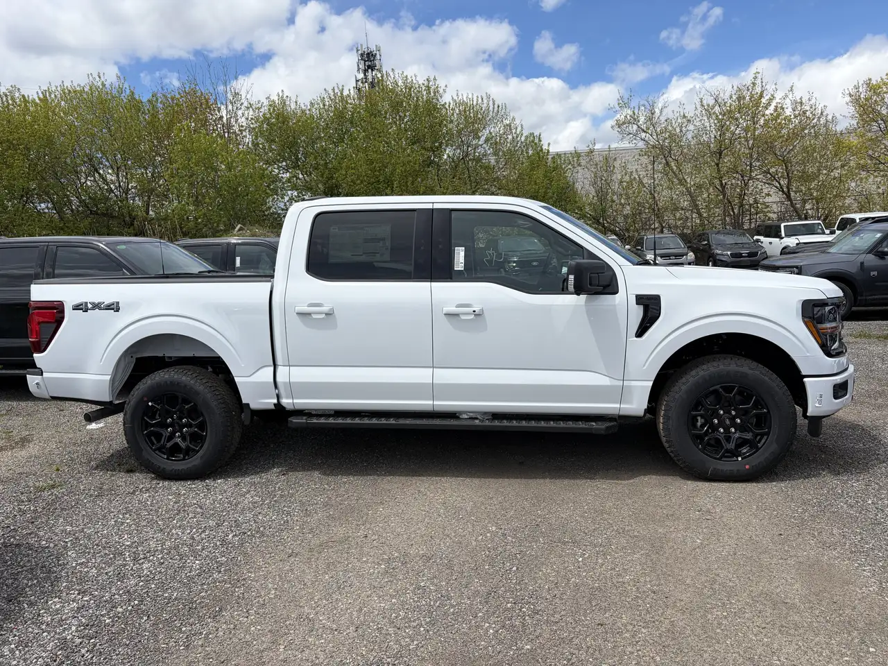 Ford F 150 fotografie Ford F 150