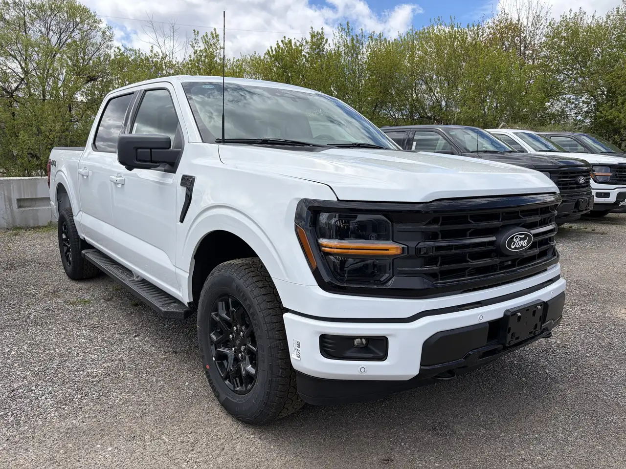 Ford F 150 fotografie Ford F 150