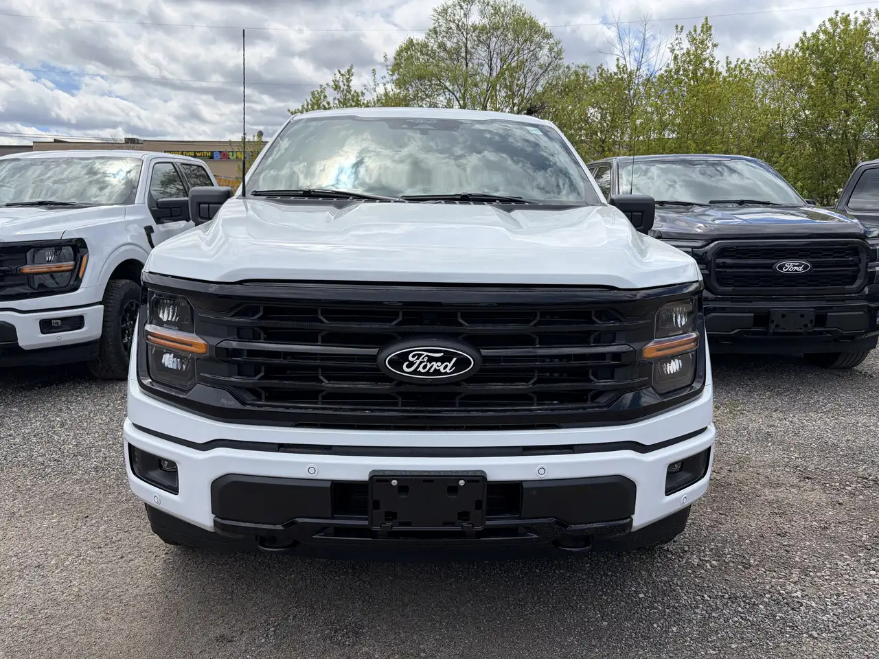 Ford F 150 fotografie Ford F 150
