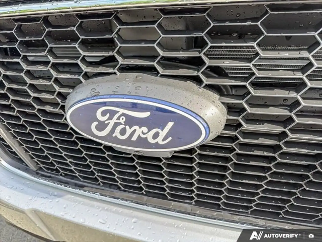 Ford Transit Passenger Wagon fotografie Ford Transit Passenger Wagon