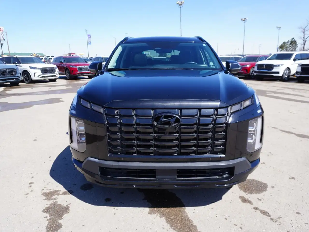 Hyundai PALISADE снимка Hyundai PALISADE
