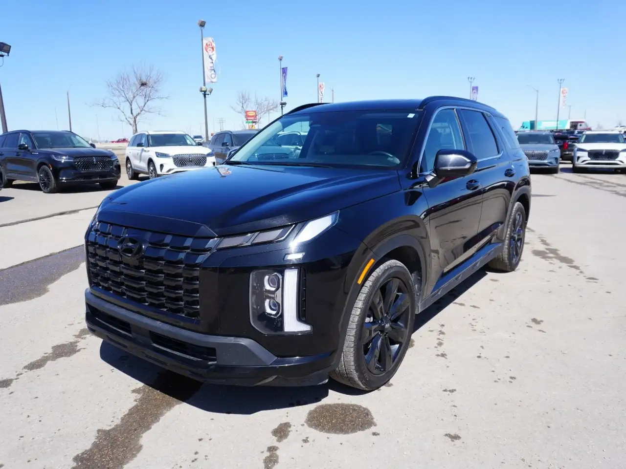 Hyundai PALISADE снимка Hyundai PALISADE