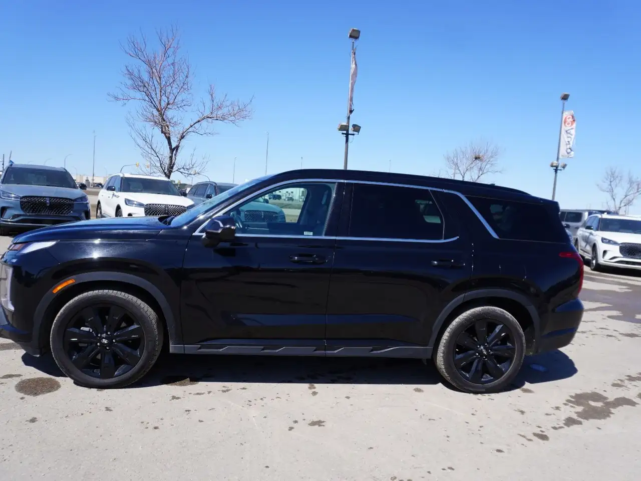 Hyundai PALISADE снимка Hyundai PALISADE