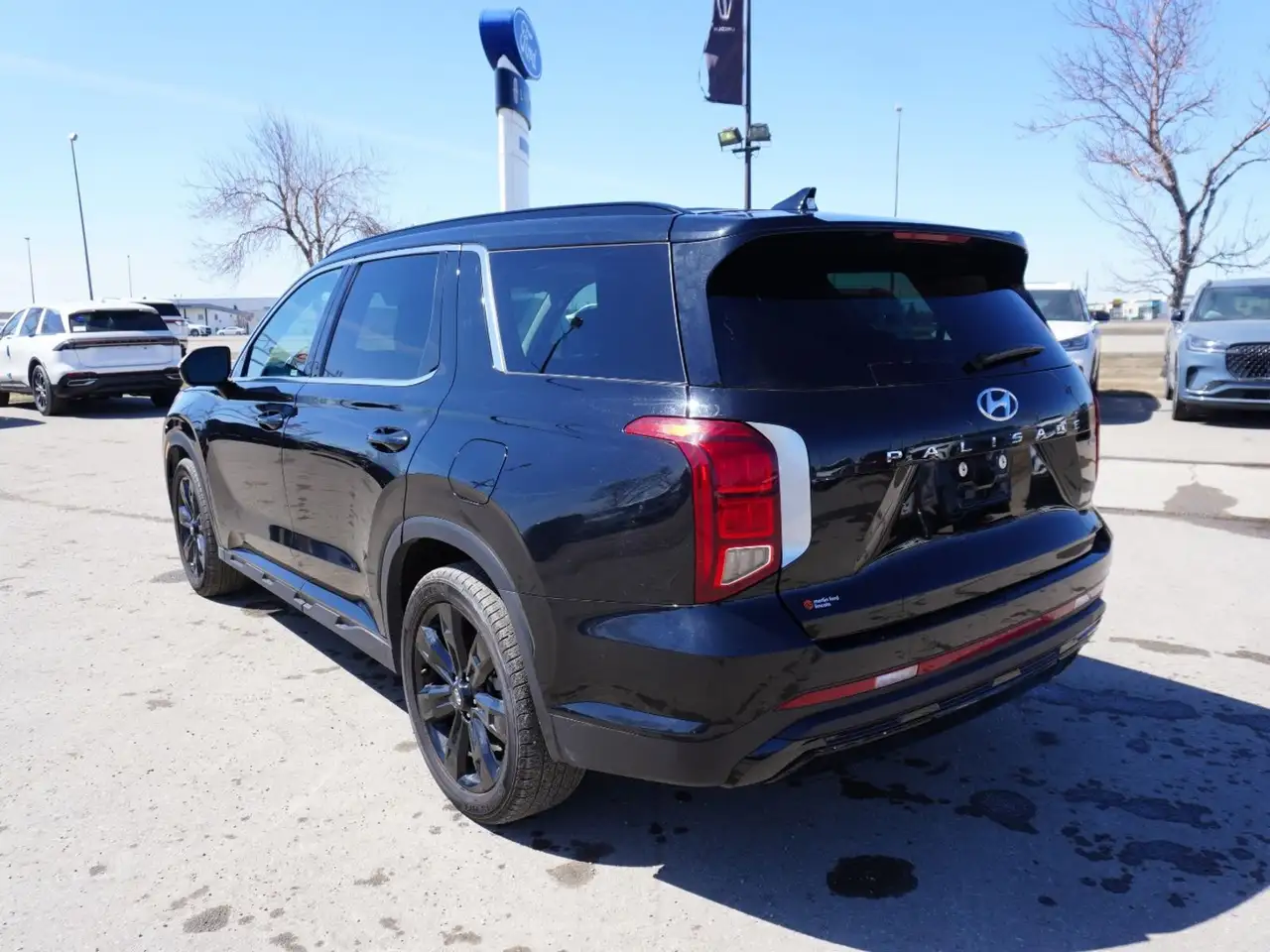 Hyundai PALISADE снимка Hyundai PALISADE