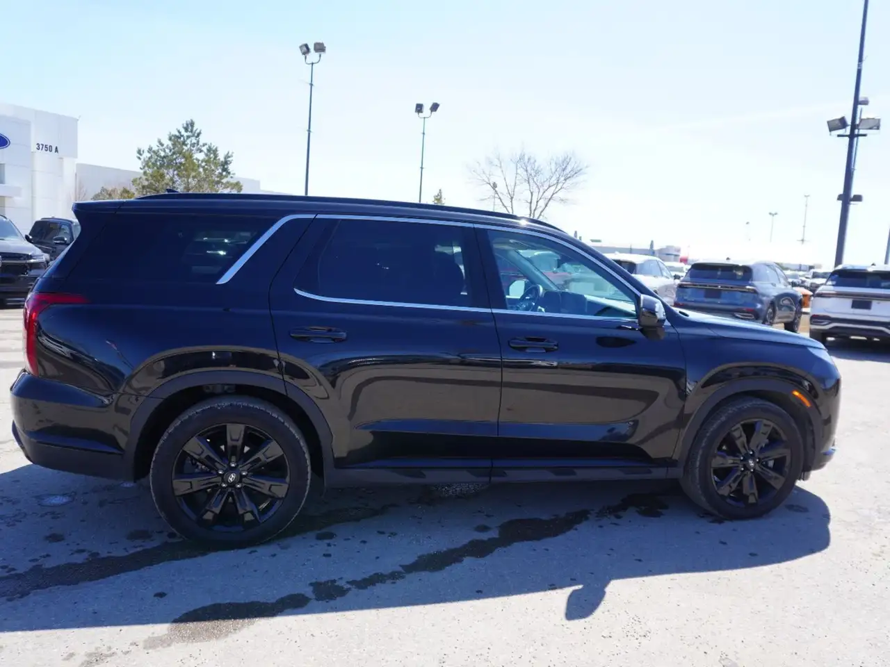 Hyundai PALISADE снимка Hyundai PALISADE