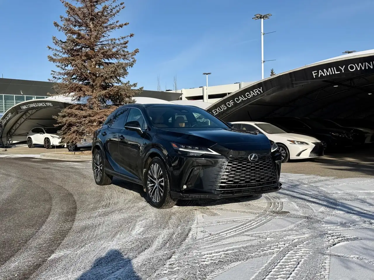 2024 Lexus RX