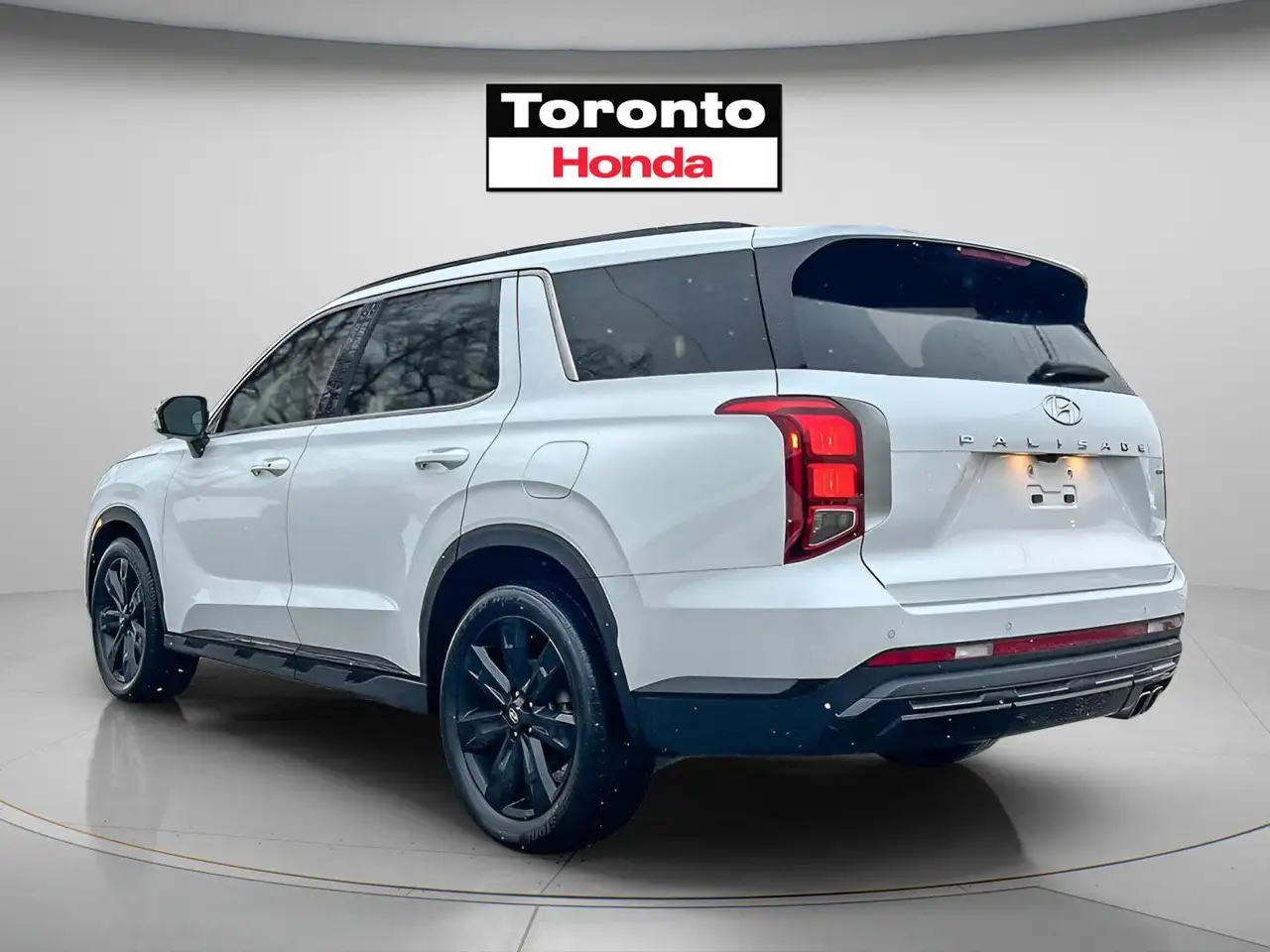 Hyundai PALISADE снимка Hyundai PALISADE