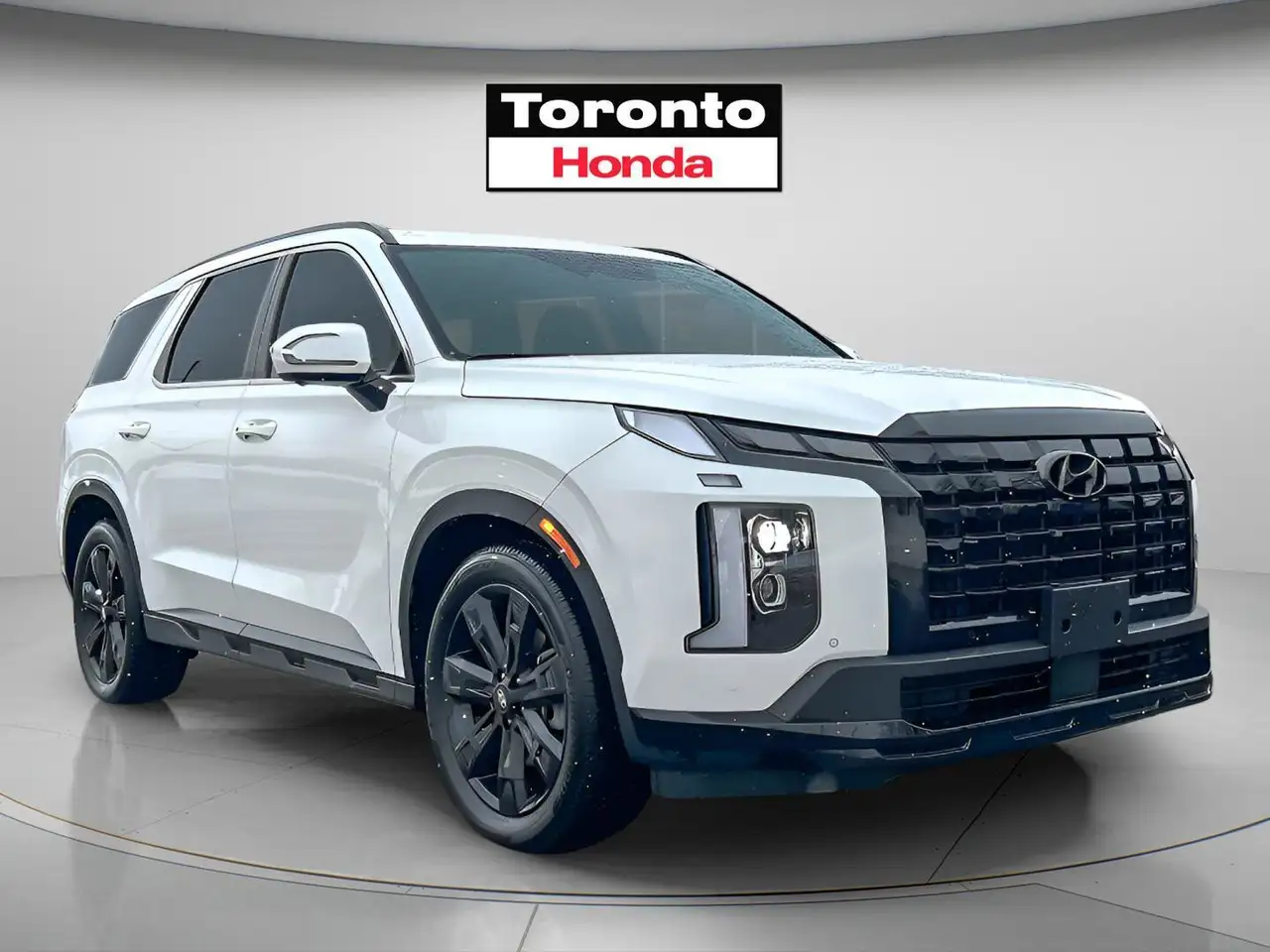 Hyundai PALISADE снимка Hyundai PALISADE