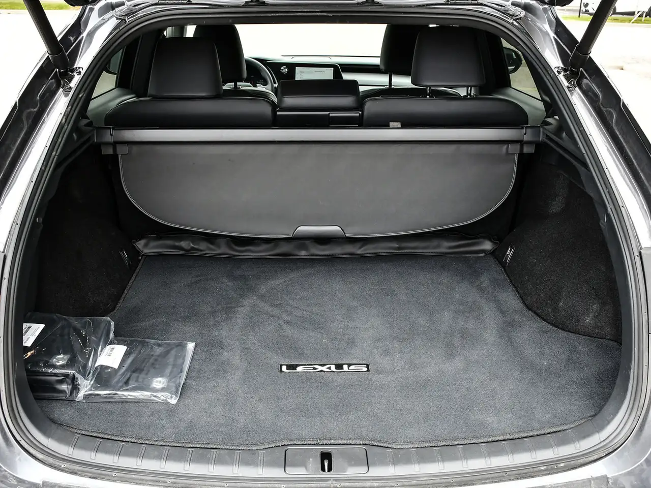Lexus RX fotografie Lexus RX