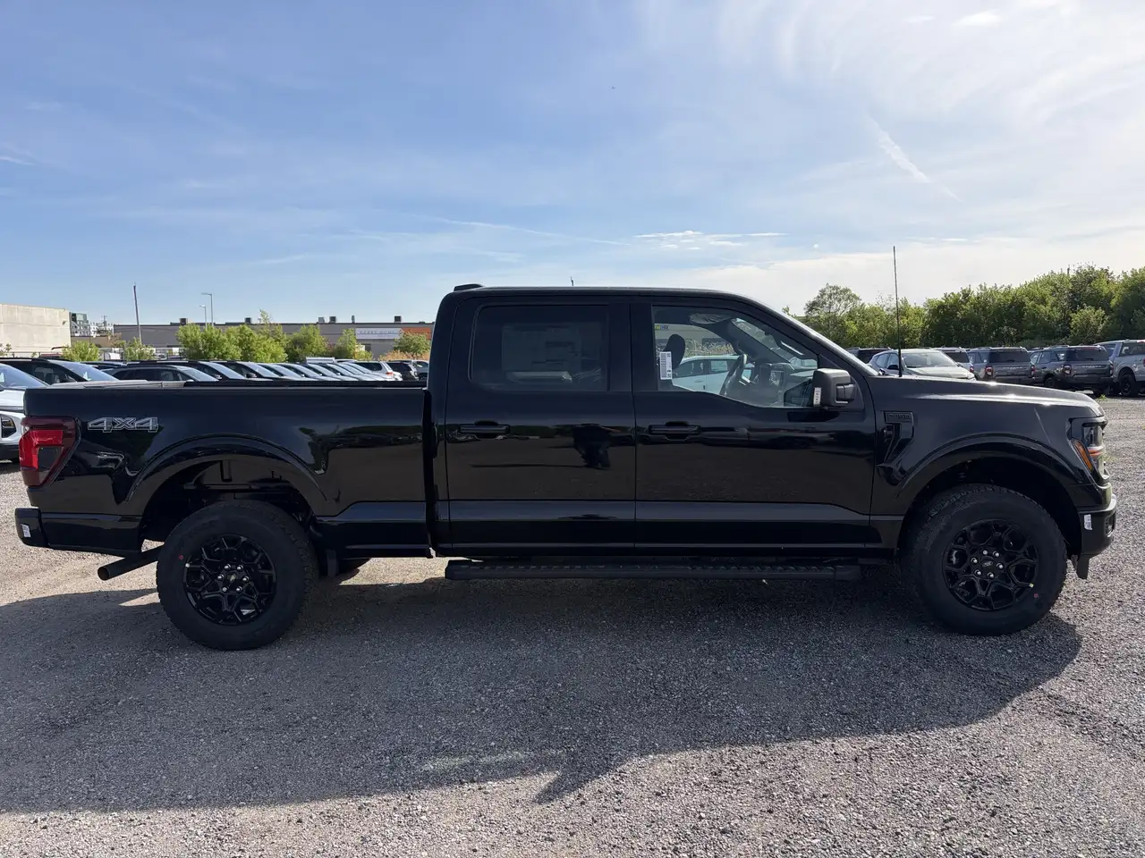 Ford F 150 снимка Ford F 150