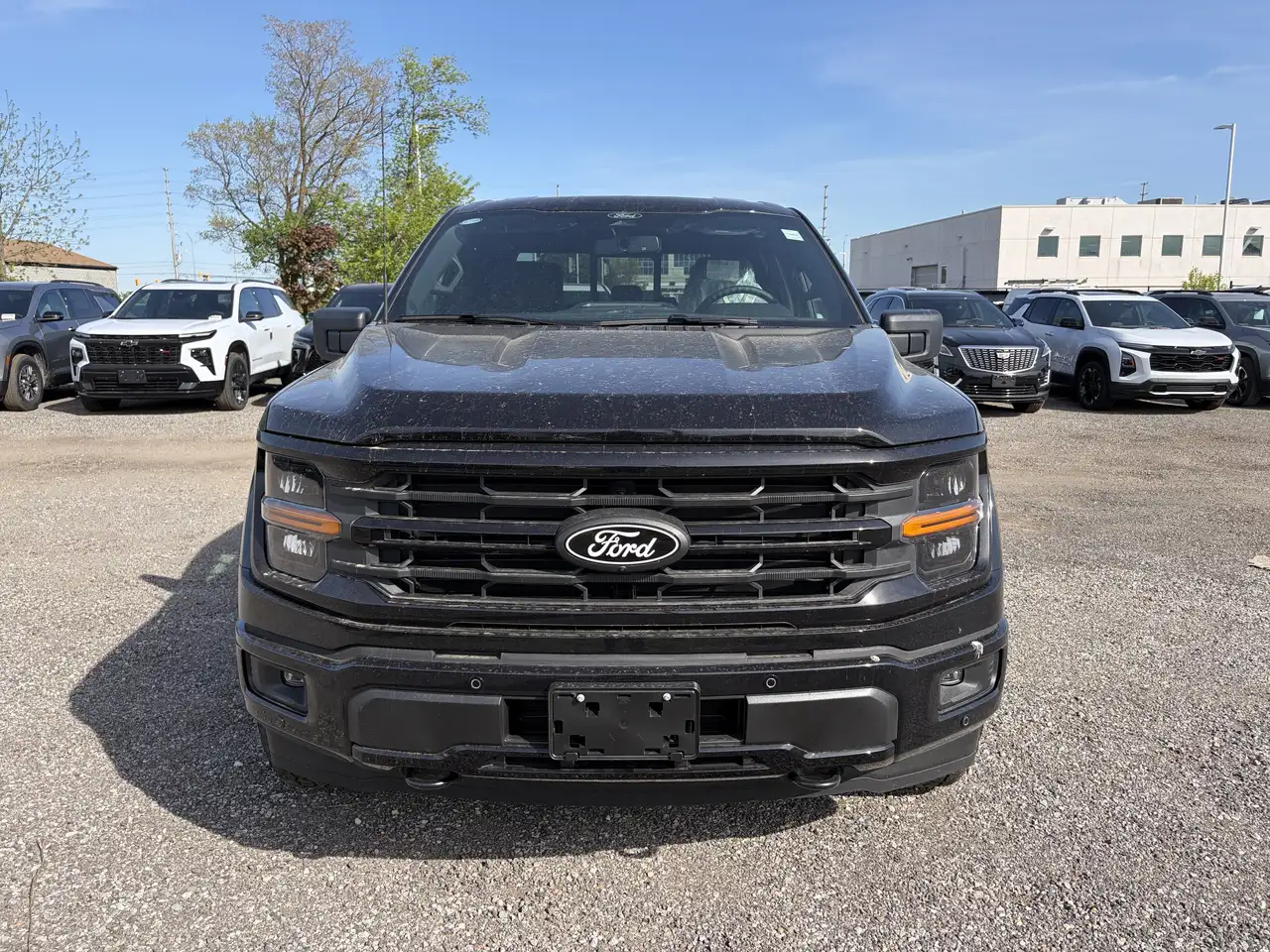 Ford F 150 снимка Ford F 150