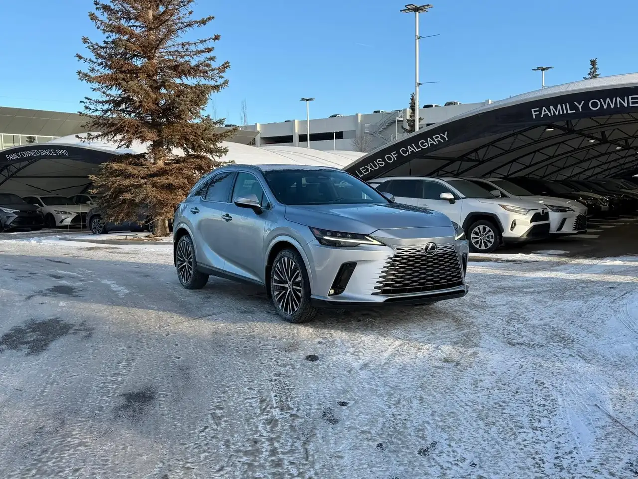2023 Lexus RX