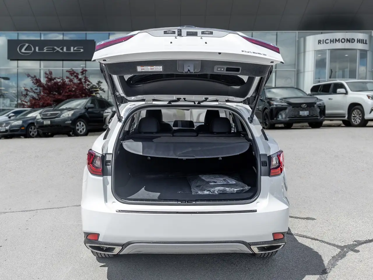 Lexus RX снимка Lexus RX