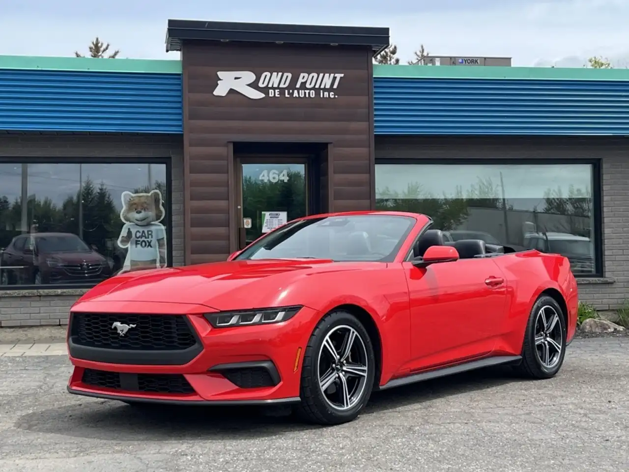 Ford Mustang photo Ford Mustang