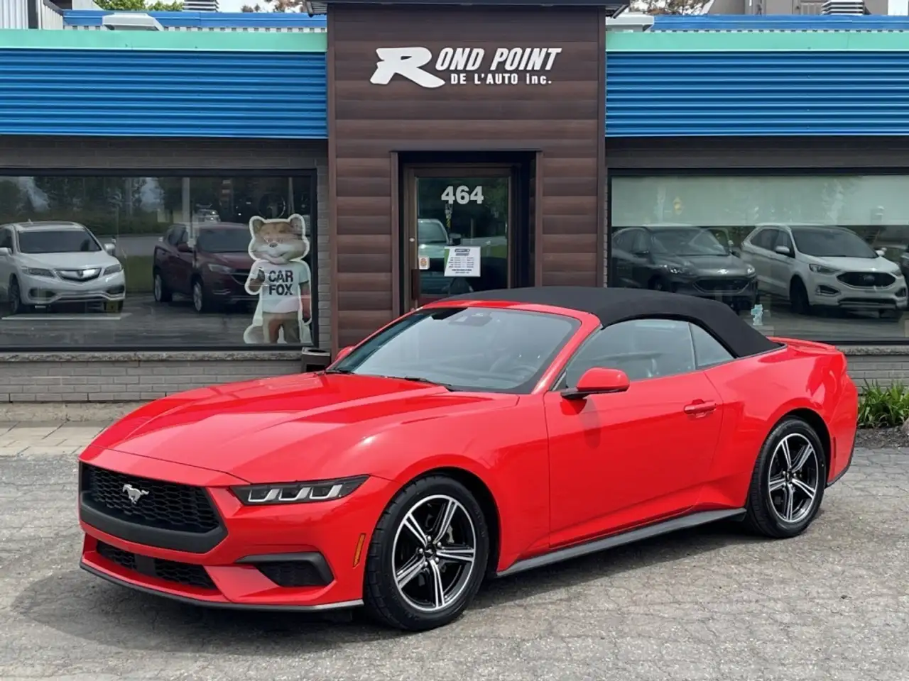 Ford Mustang photo Ford Mustang