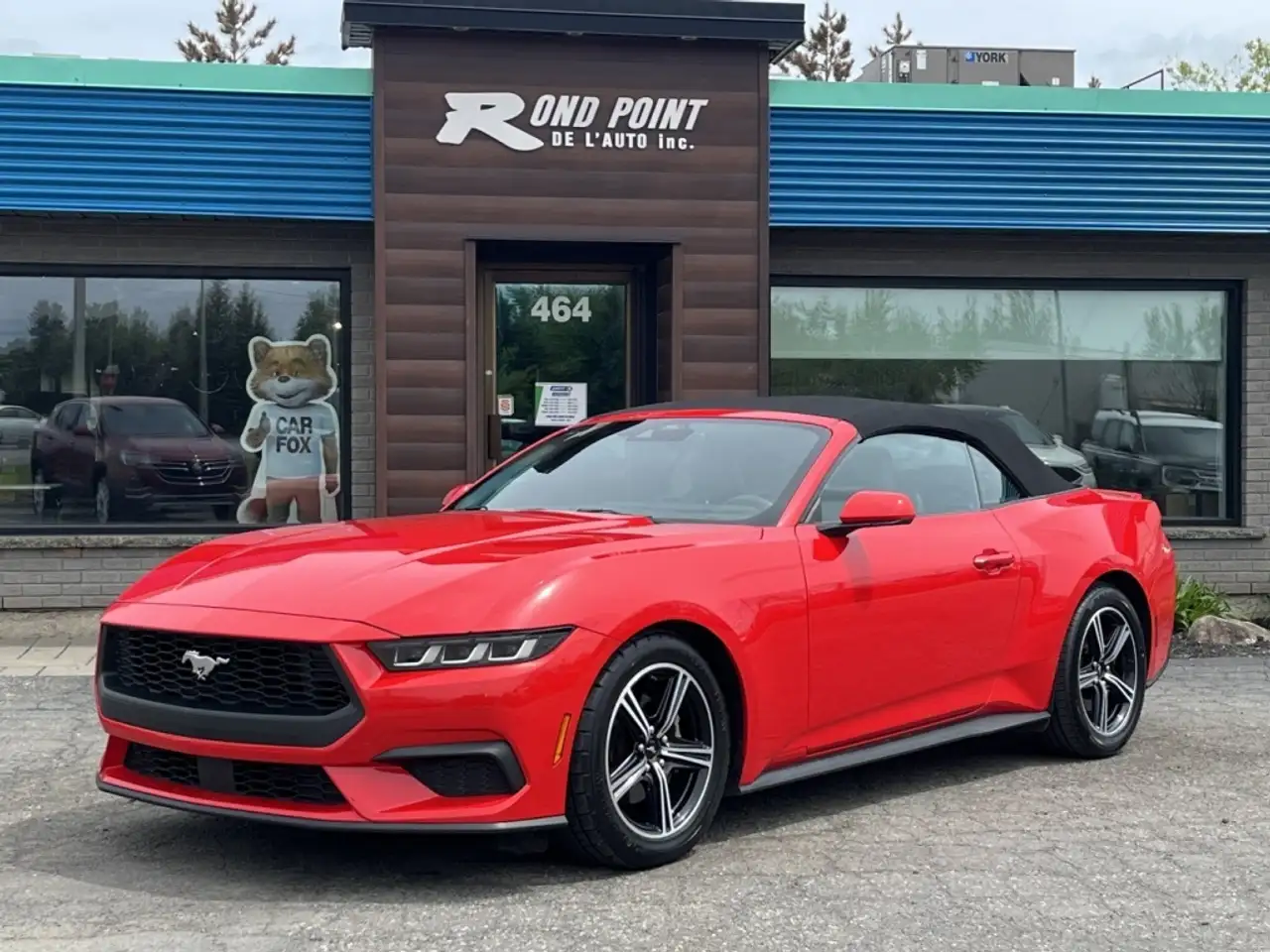 Ford Mustang photo Ford Mustang