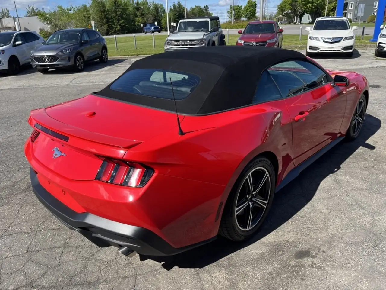 Ford Mustang photo Ford Mustang