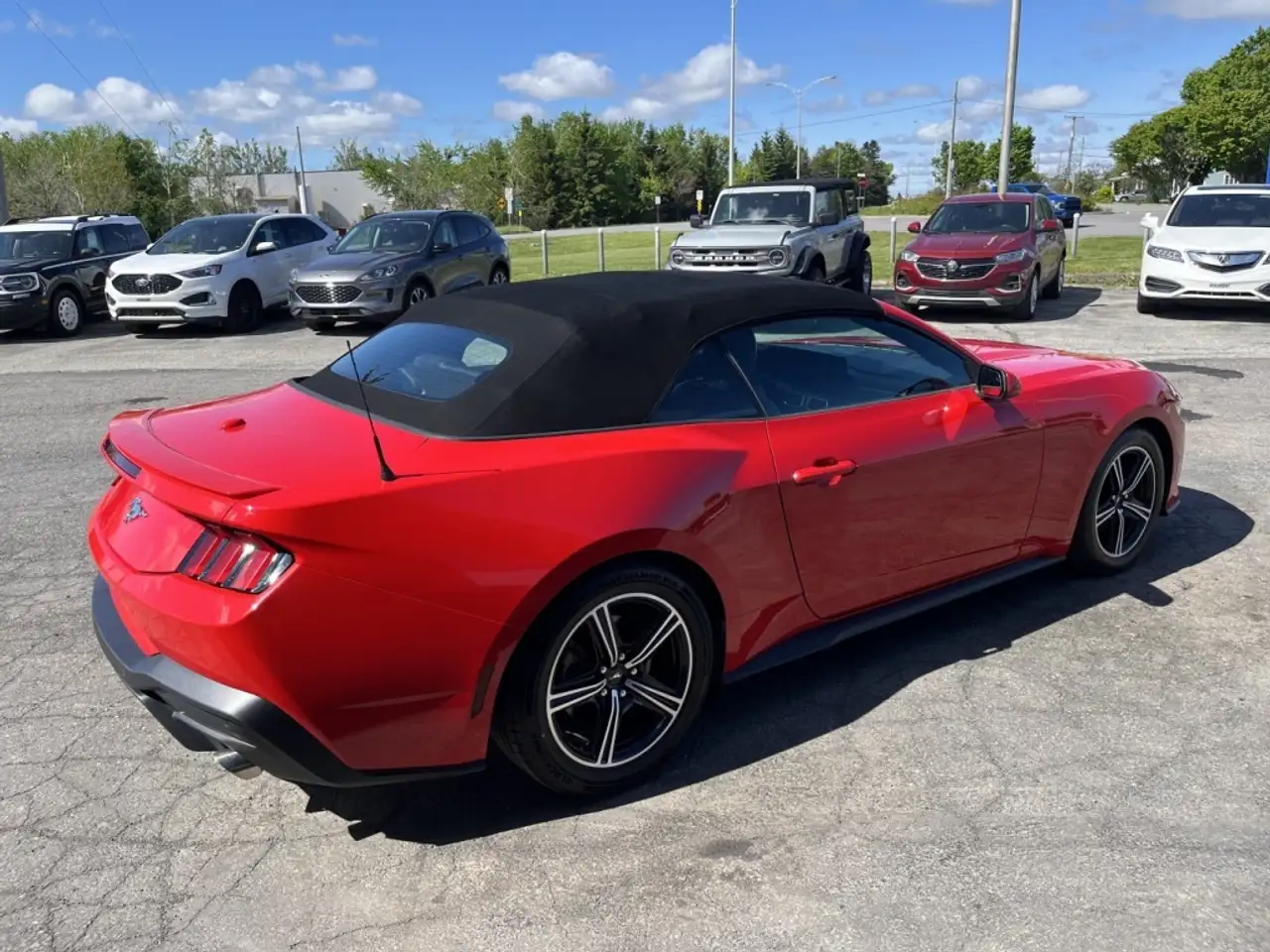 Ford Mustang photo Ford Mustang