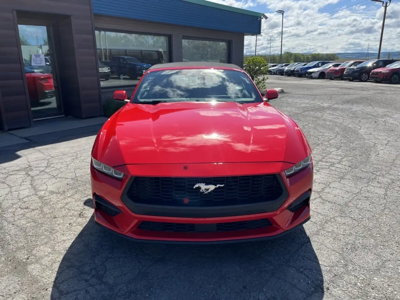 Ford Mustang photo Ford Mustang