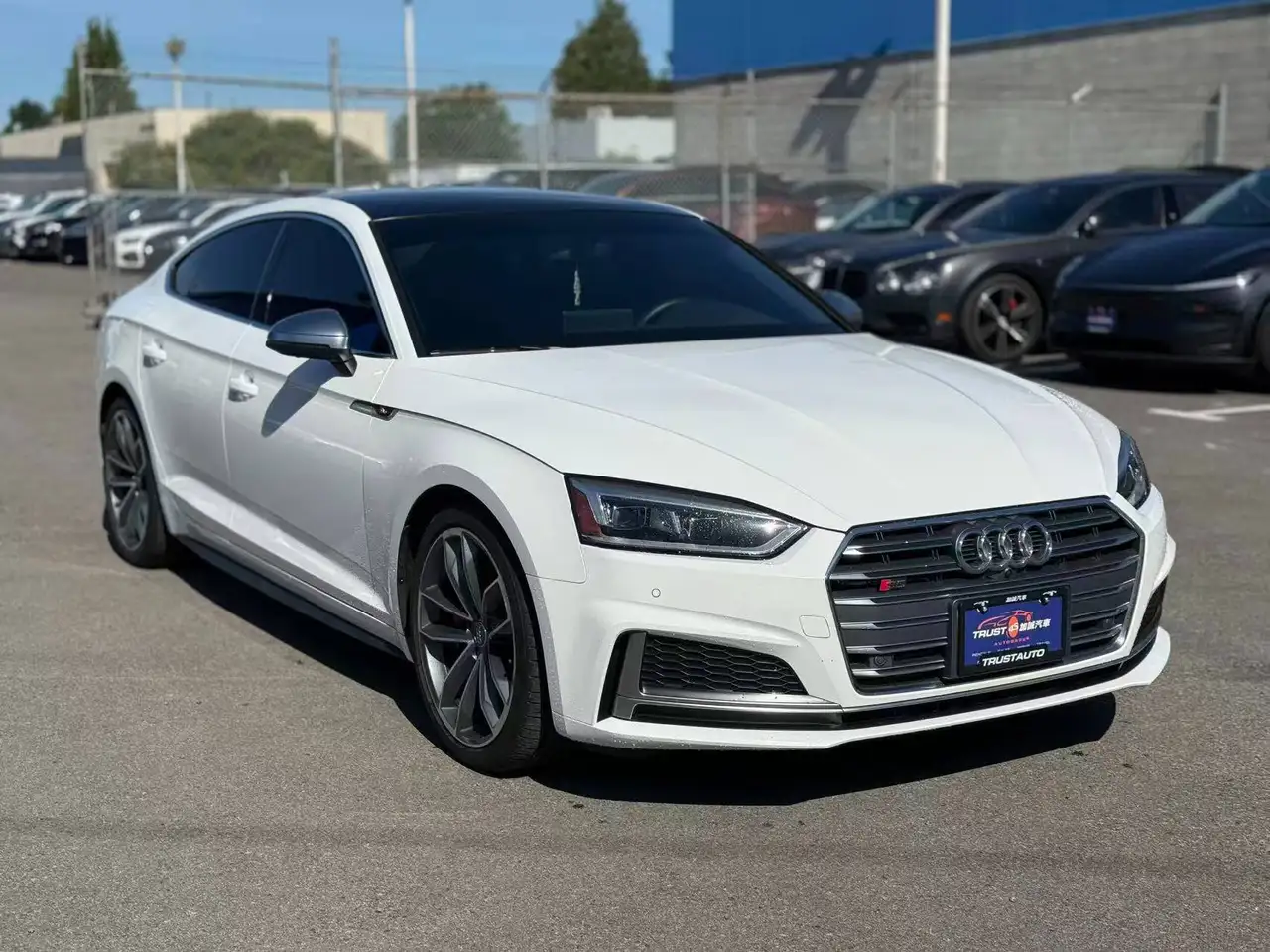 Audi S5 снимка Audi S5