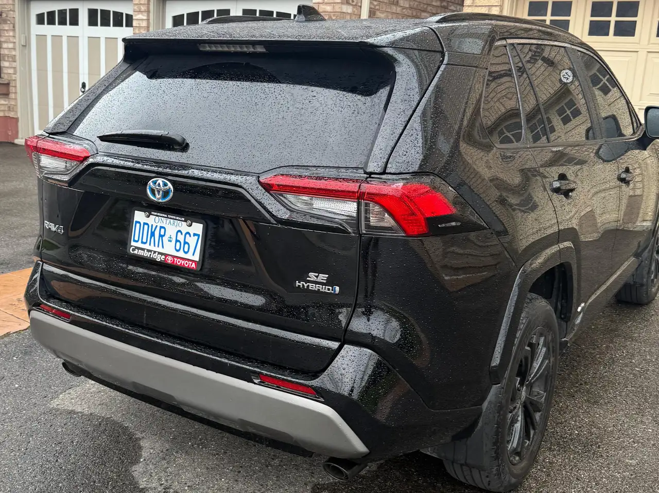 2024 Toyota RAV 4