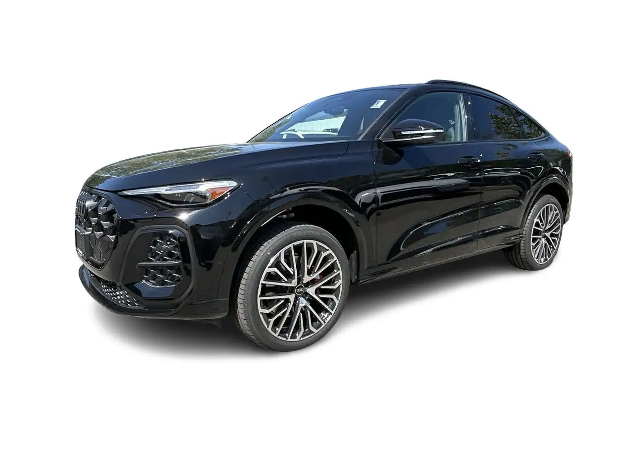 Audi SQ5 fotografie Audi SQ5