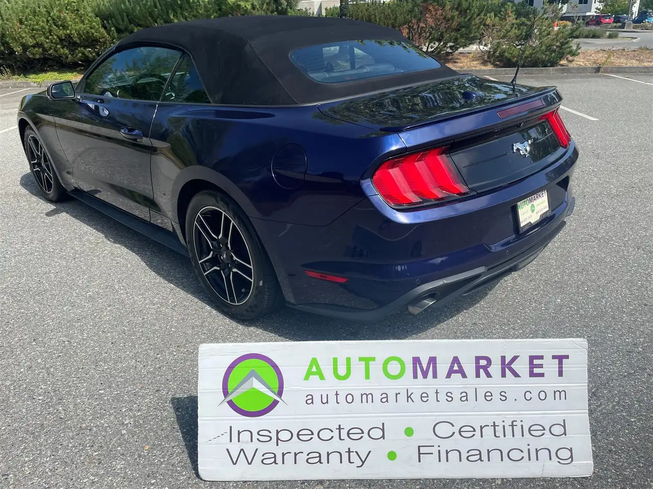 Ford Mustang fotografie Ford Mustang