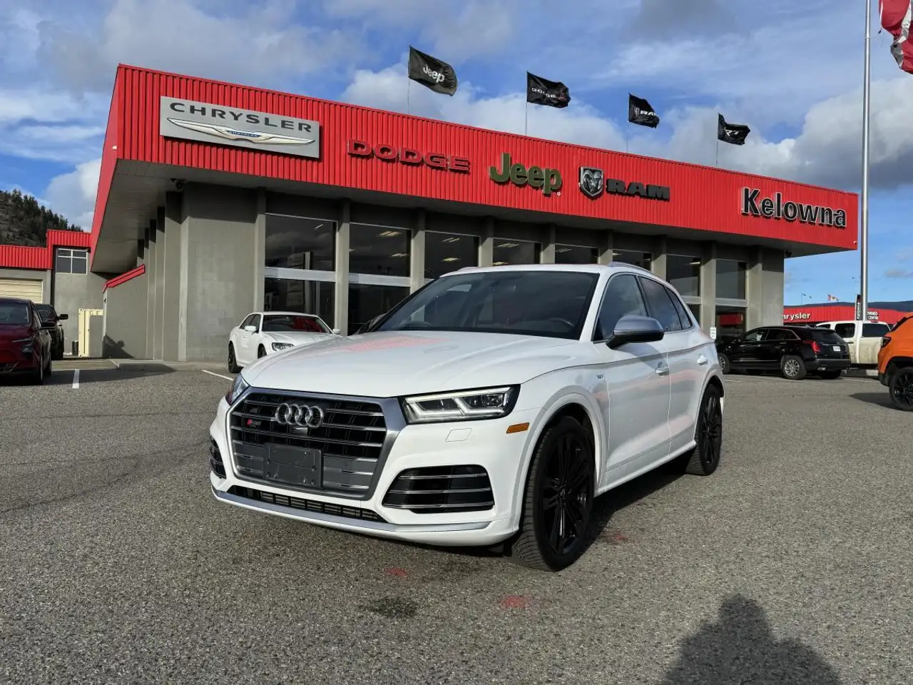 Audi SQ5 fotografie Audi SQ5