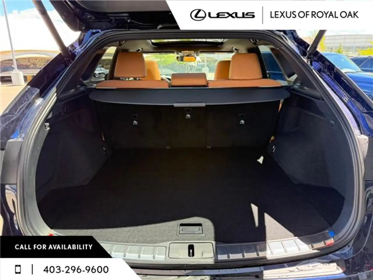Lexus RX fotografie Lexus RX