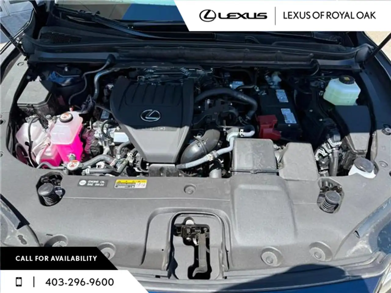 Lexus RX fotografie Lexus RX