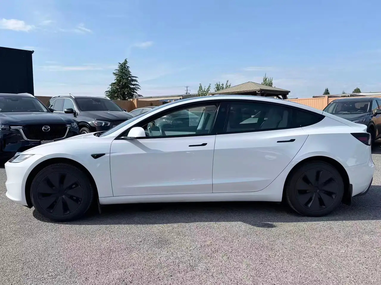 Tesla Model 3 photo Tesla Model 3