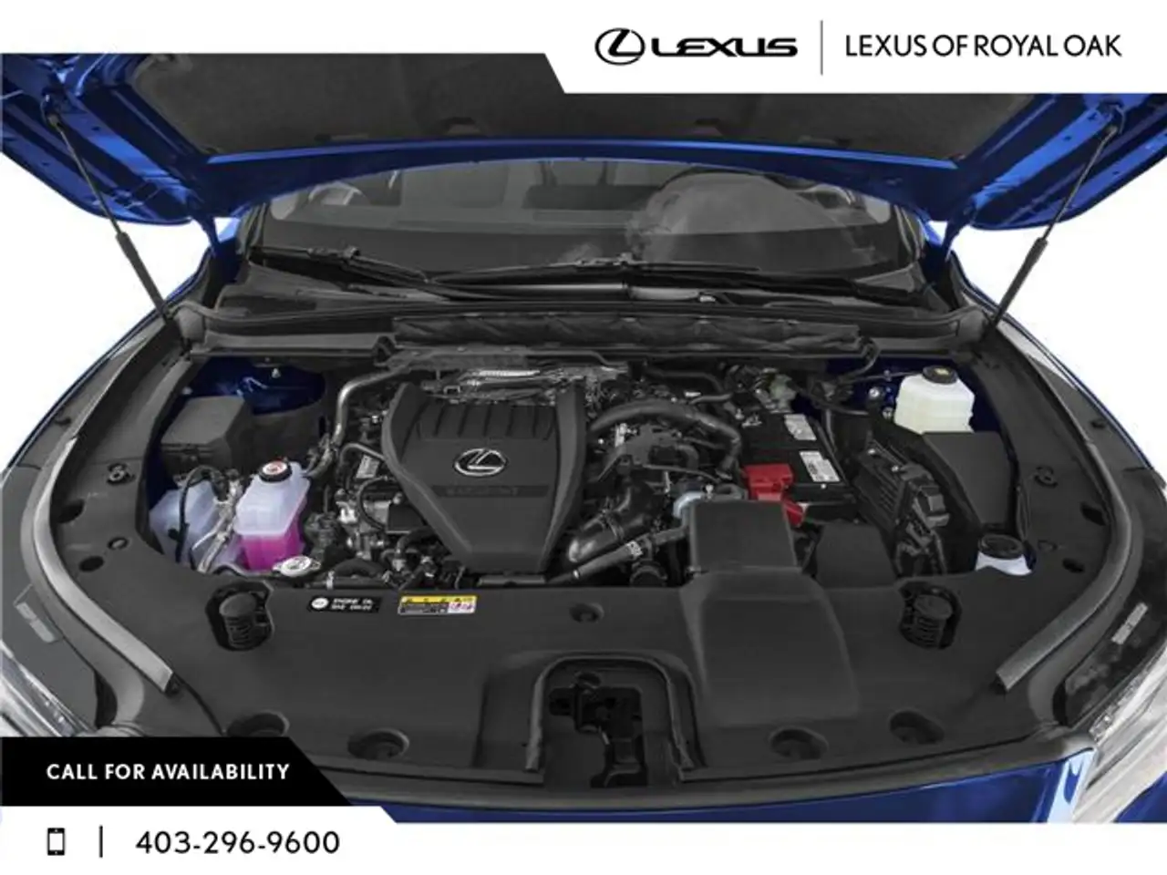 Lexus RX fotografie Lexus RX