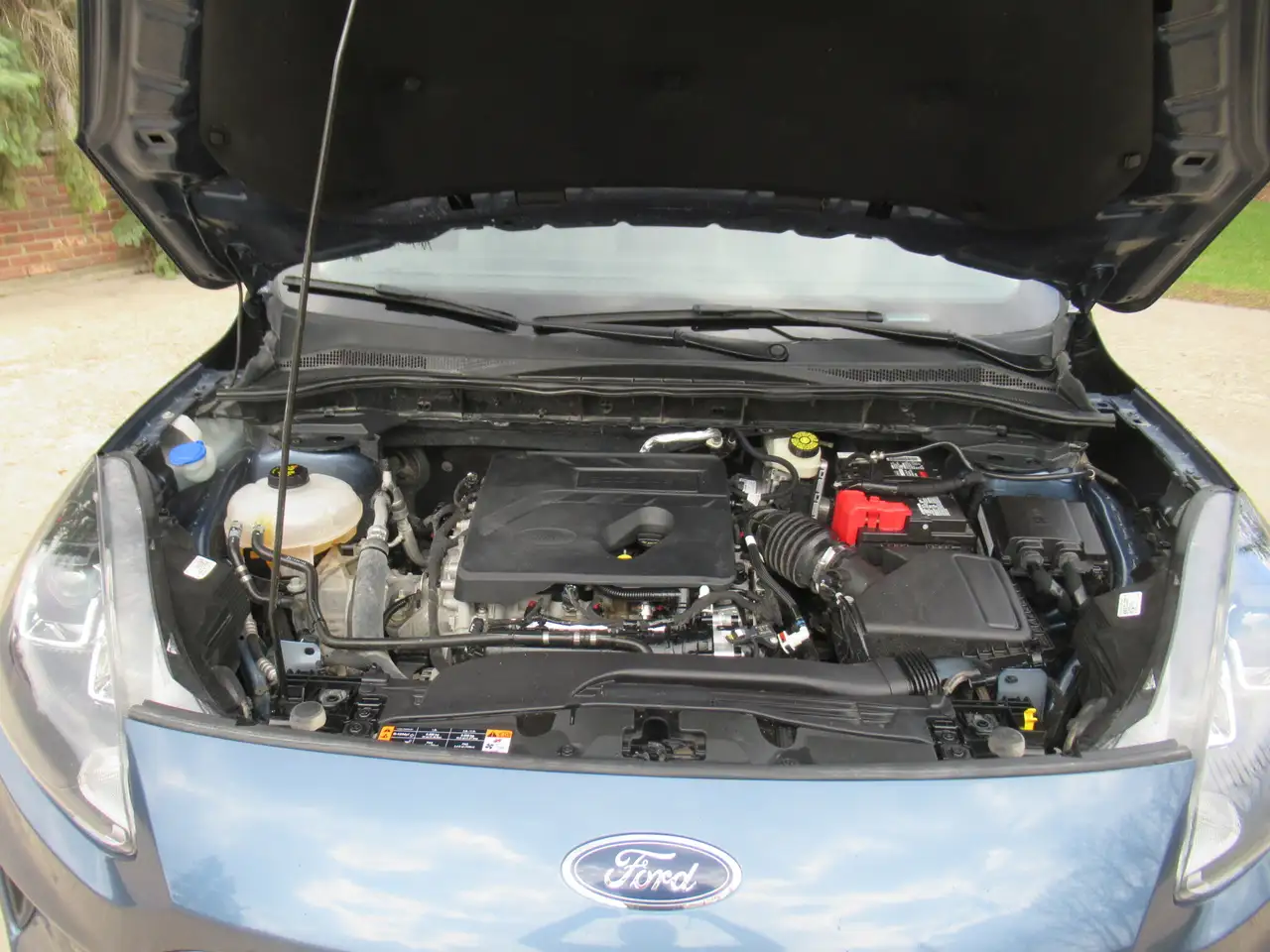 Ford Escape photo Ford Escape