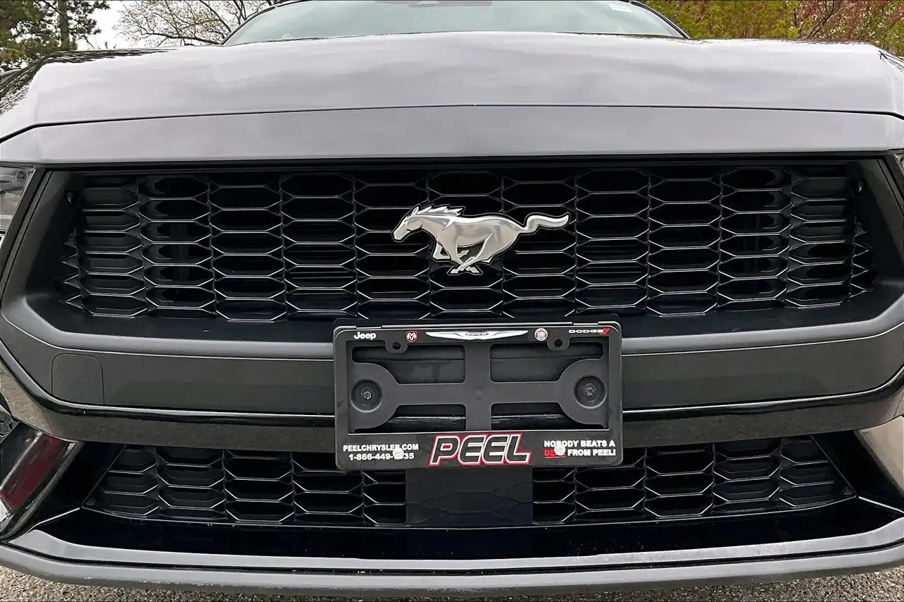 Ford Mustang снимка Ford Mustang