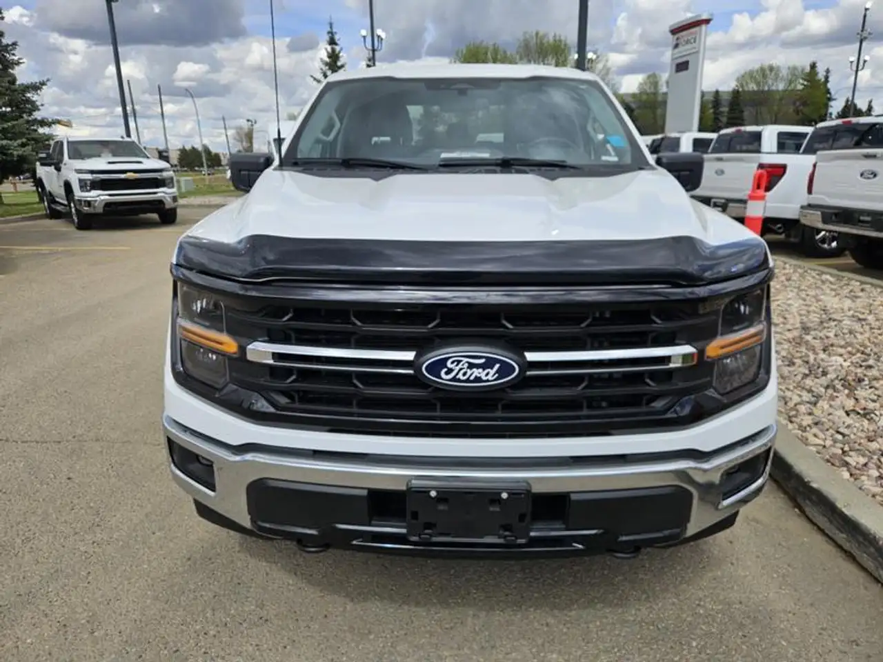 Ford F 150 fotografie Ford F 150