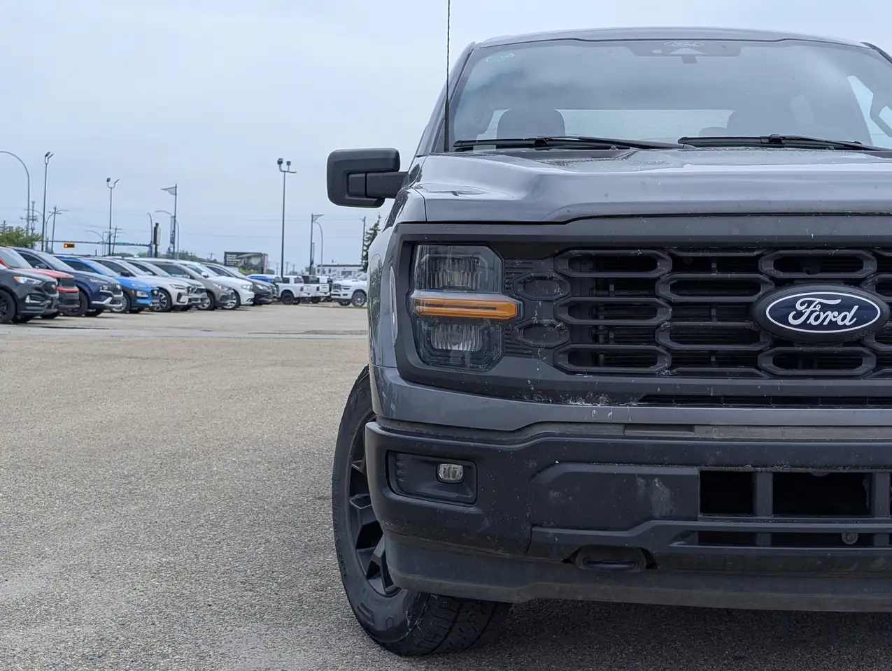 Ford F 150 photo Ford F 150