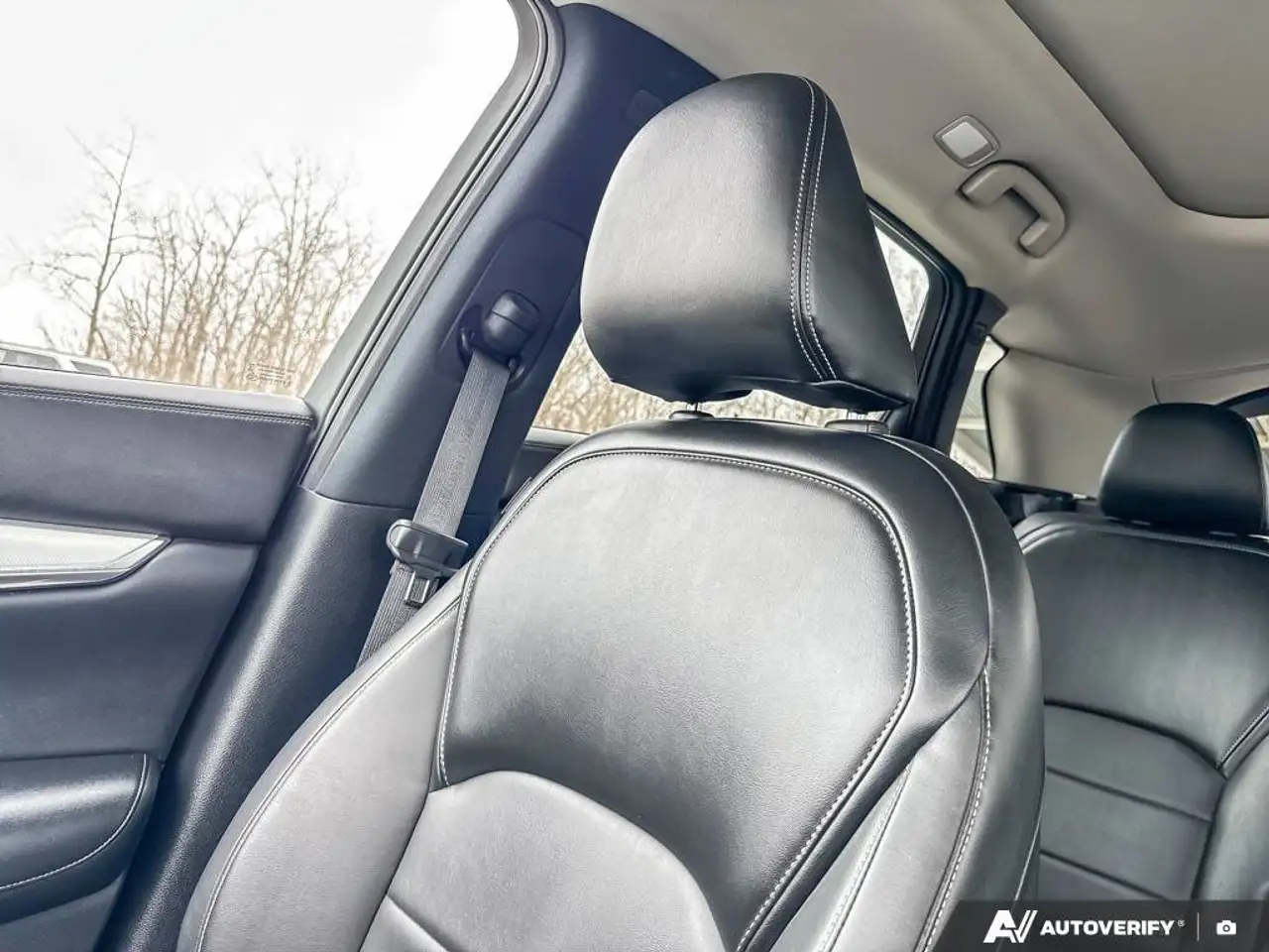 Infiniti QX50 снимка Infiniti QX50