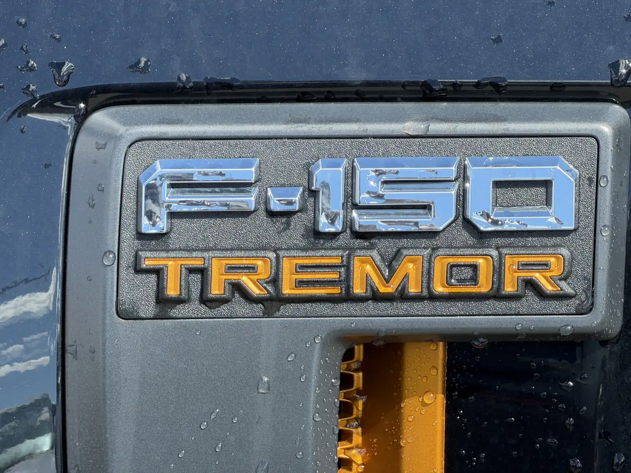 Ford F 150 снимка Ford F 150