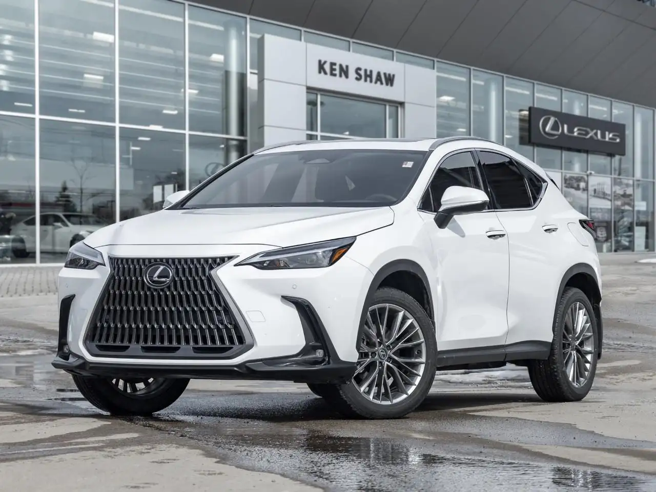 Lexus NX fotografie Lexus NX