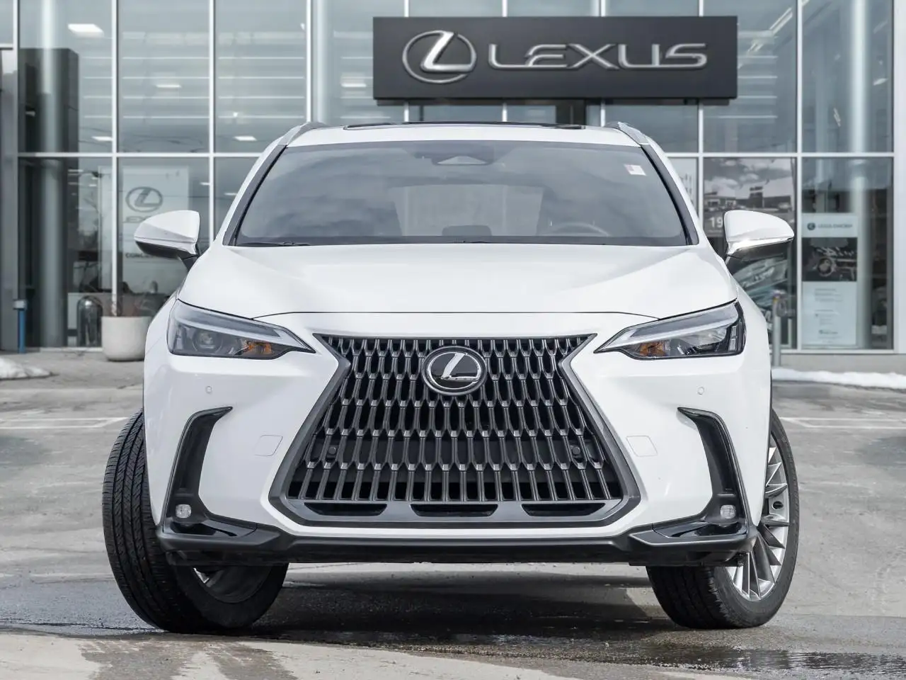 Lexus NX fotografie Lexus NX